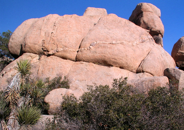 Joshua Tree