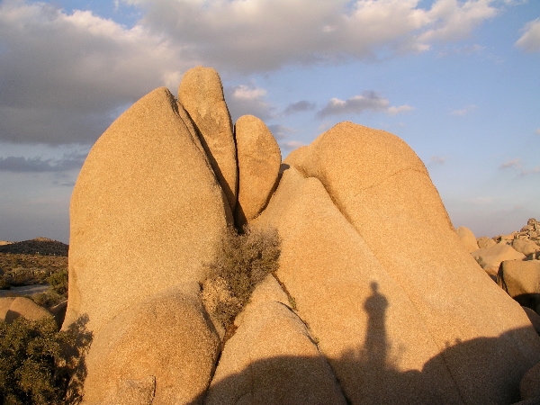 Joshua Tree