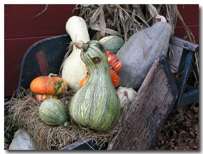 Seasonal Still Life