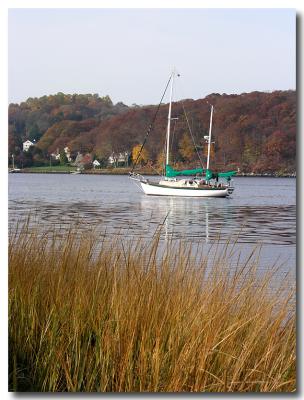 Autumn Frame