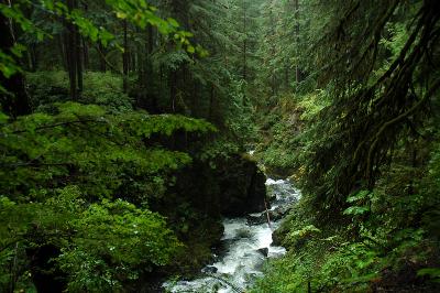 Olympic National Park 2