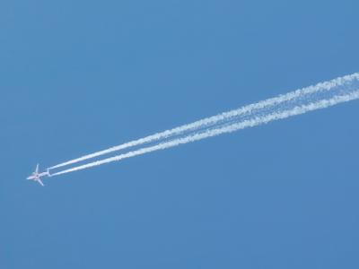 u35/cdrebel/medium/40472281.IMG_0086_cal_600.jpg
