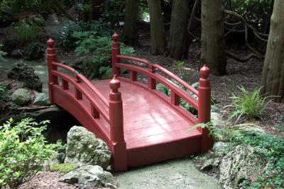 Bridge in Japanese Garden