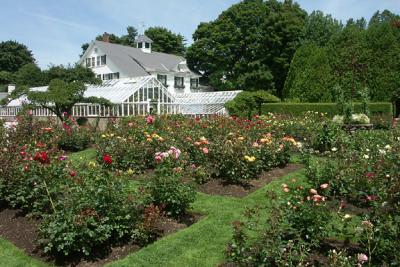 Side Garden View to Greenhouses