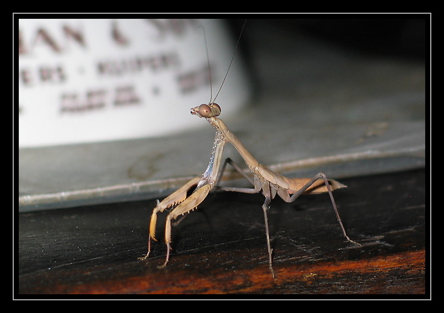 at the bar....