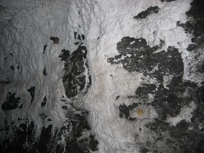 IMG_0428.jpg