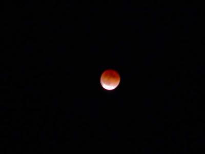 DSC07495.JPG