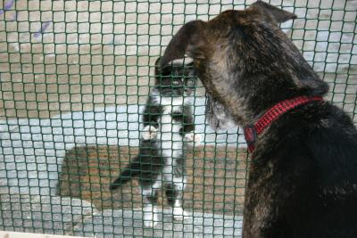 Max's next door neighbour