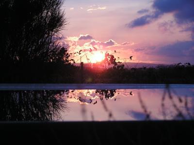 Reflection off of pool