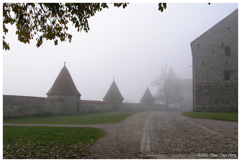 Castle in the fog 1