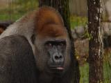 Fort Worth Zoo 11-8-2003
