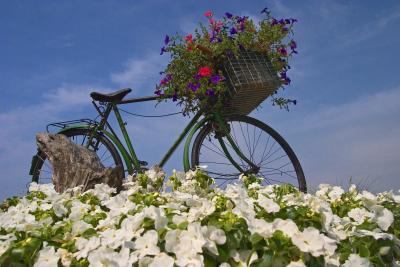 Bike in Ambroise