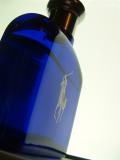 November 13 2003:<br> BlueBottle