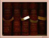 July 27 2004: <br> Volumes
