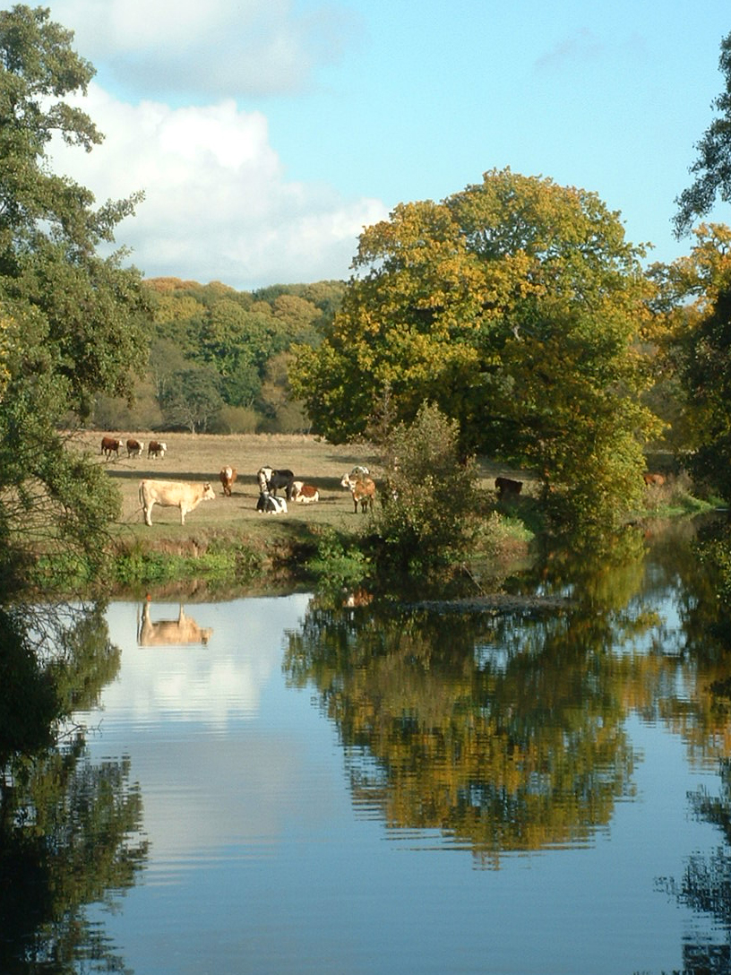 October 31 2003: Natures Mirror