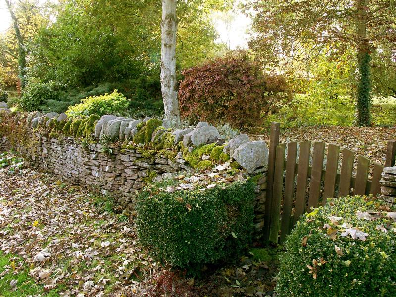 Autumnal Garden in England