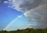 8 August - Rainbow