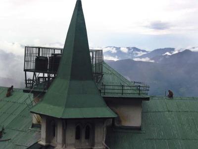 monkeys on roof, Shimla