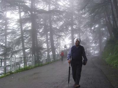foggy morning, Shimla