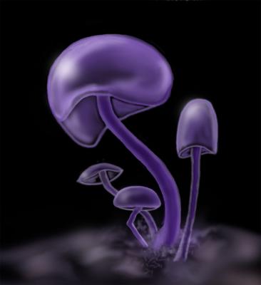Photoshop Mushrooms