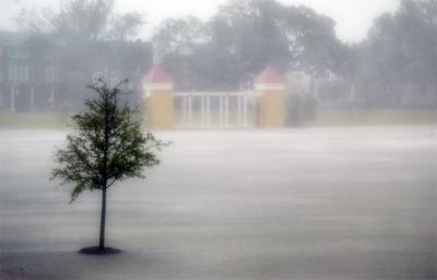 Tropical Storm Gaston - Summer 2004