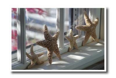 Starfish Window