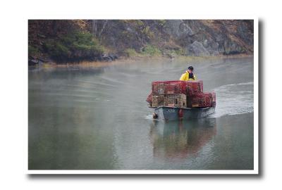 Traps for Sale: This lobsterman was pulling his traps and bringing them in to sell.