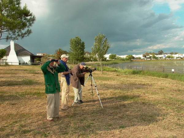 Birding in Doana - Marismas del Roco