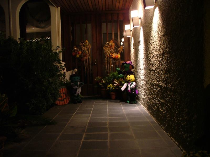 DSCF0954.JPG