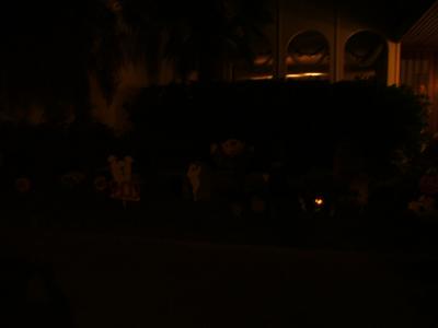 DSCF0943.JPG