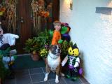DSCF0858.JPG