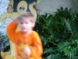 DSCF0927.JPG