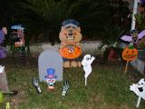 DSCF0934.JPG