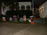 DSCF0944.JPG