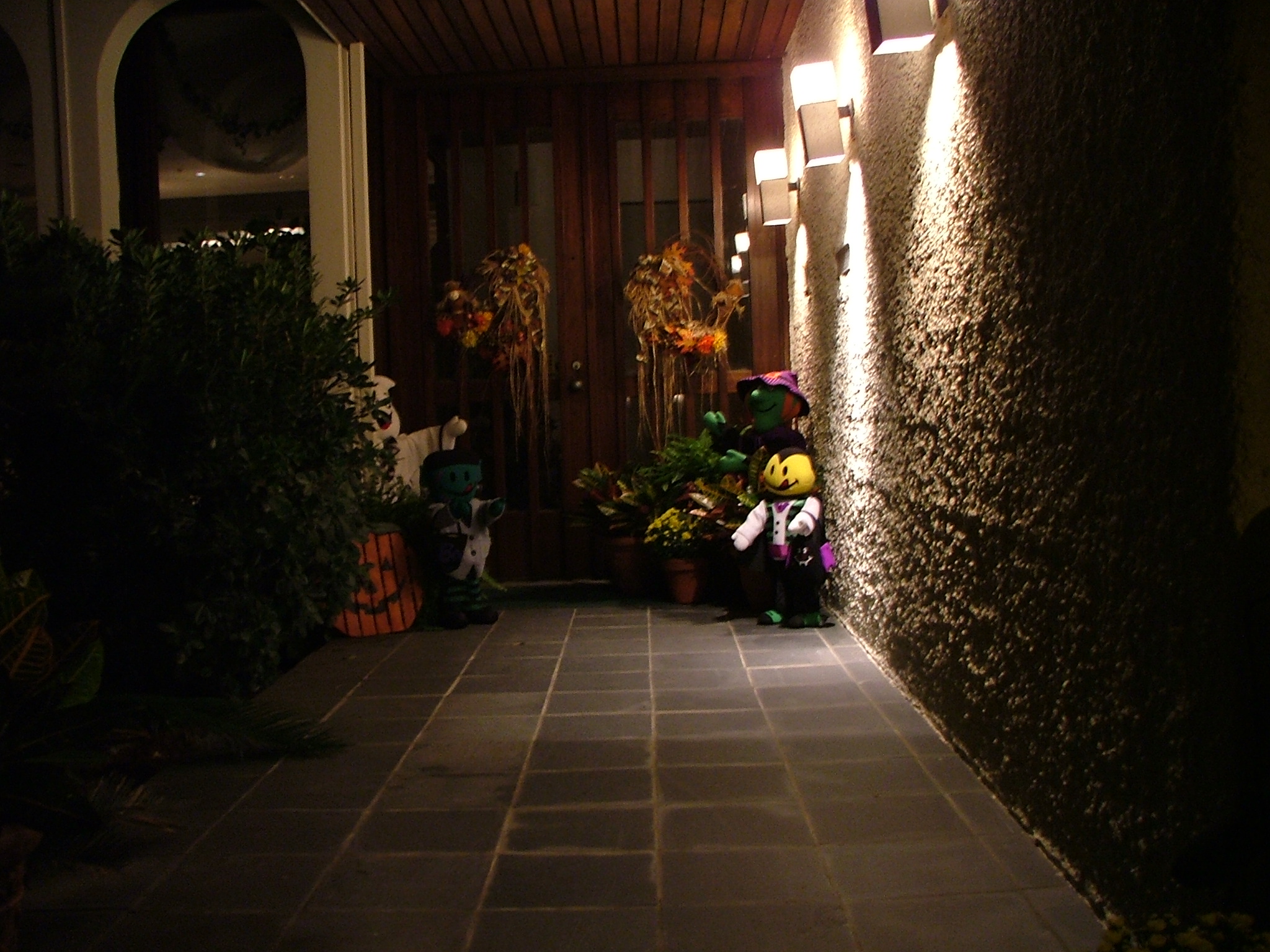 DSCF0954.JPG