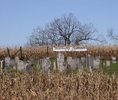 cemetery in a cornfield