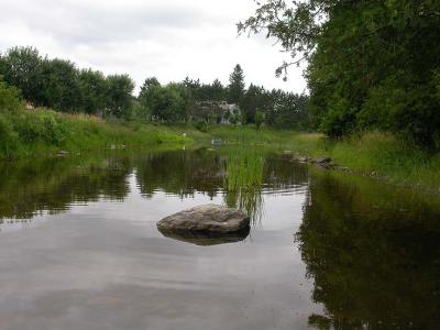 Downstream view of survey section in Jock River