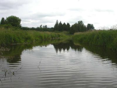 upstream view of  Jock River just above mouth of King's Creek