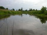 upstream view above survey section of Jock River