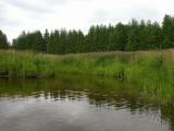 mouth of Kings Creek entering Jock River