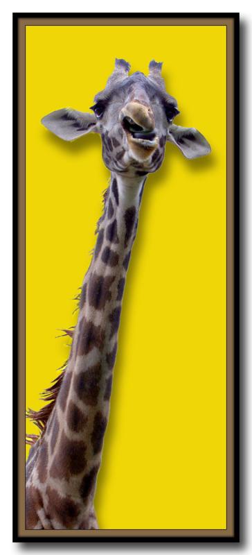 <b>Deep Throat</b><br>*by Ralph Otto