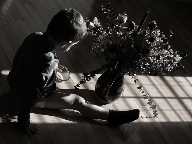 <b>5th Place (Tie)</b><br><i>Son Flower<br>by Bernard Maltais</i>