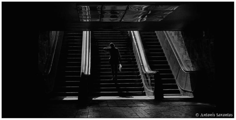 <b>9th Place</b><br>Back to the light *