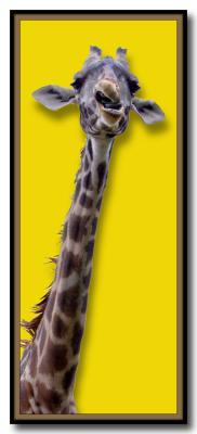 Deep Throat*by Ralph Otto