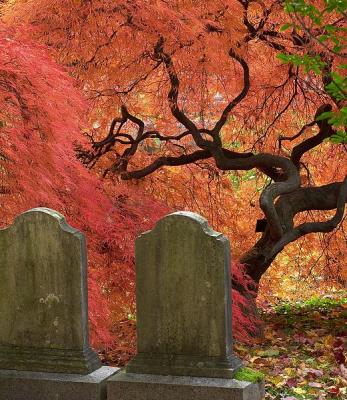 8th PlaceThe Masque of the Red Death * by Allen Pacheco