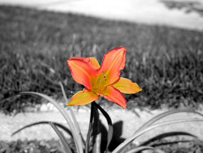 Something Simple* by Irina Otto *