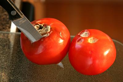Killer Tomatoes Strike Back! *by Gene Atwood