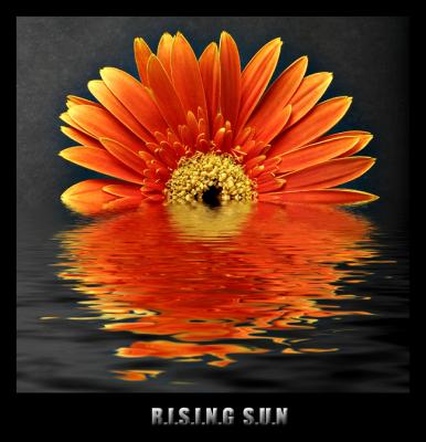 2nd PlaceRising Sun*by Vikas