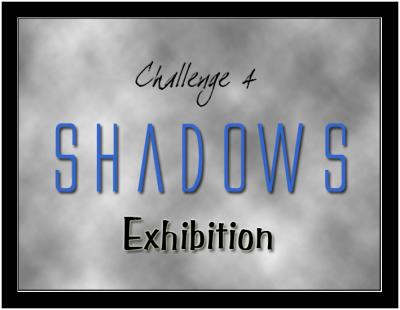Exhibition Gallery Header