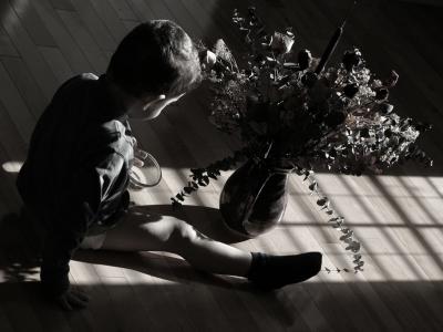 u35/cslr_challenge/medium/23322957.sonflower.jpg